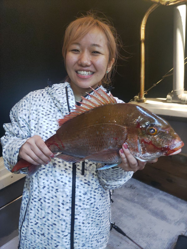 ここ数日の釣果です。