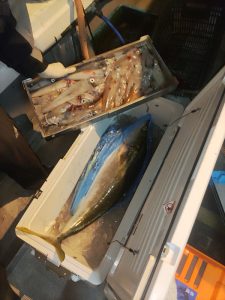 20240518最近の釣果です。