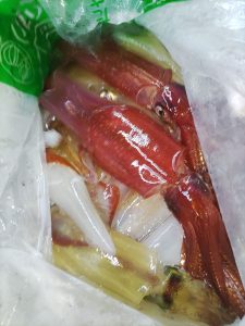 20240518最近の釣果です。