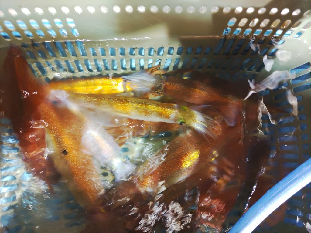 4月19日に出船