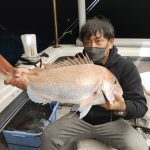 ここ数日の釣果です。 ここ数日の釣果です。