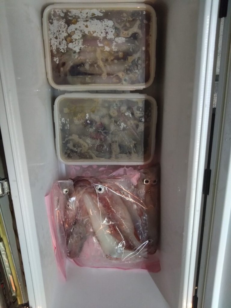 数日分の釣果です。