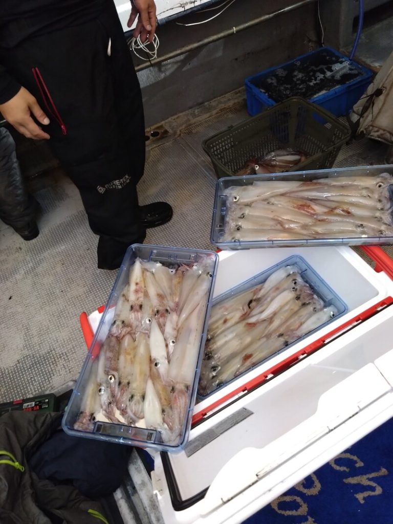数日分の釣果です。