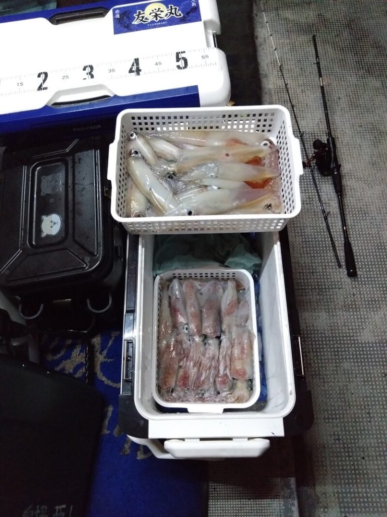 釣果報告_20250710