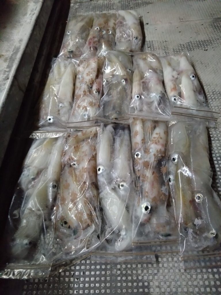 釣果報告_20250710