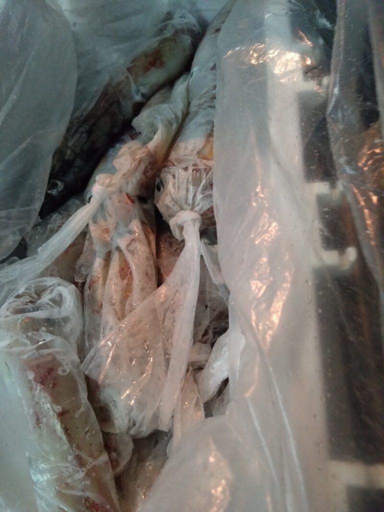 釣果報告_20250710