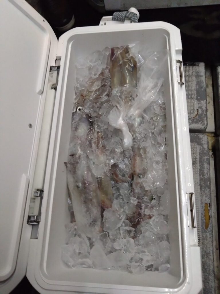 釣果報告_20250710