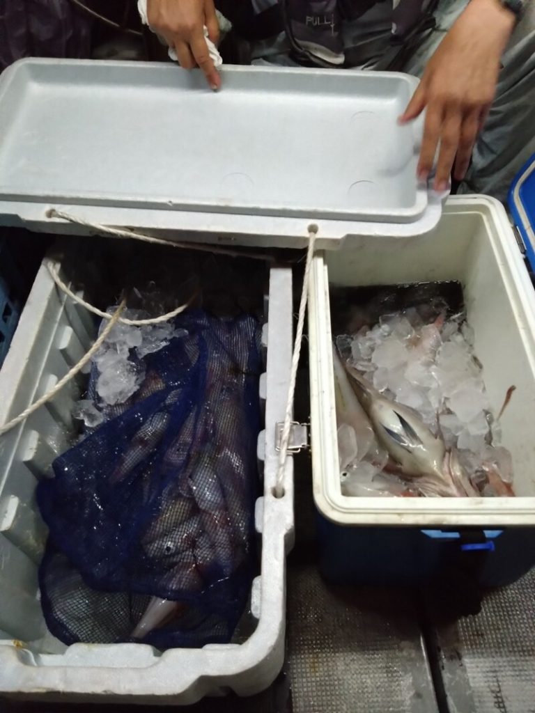 釣果報告_20250710