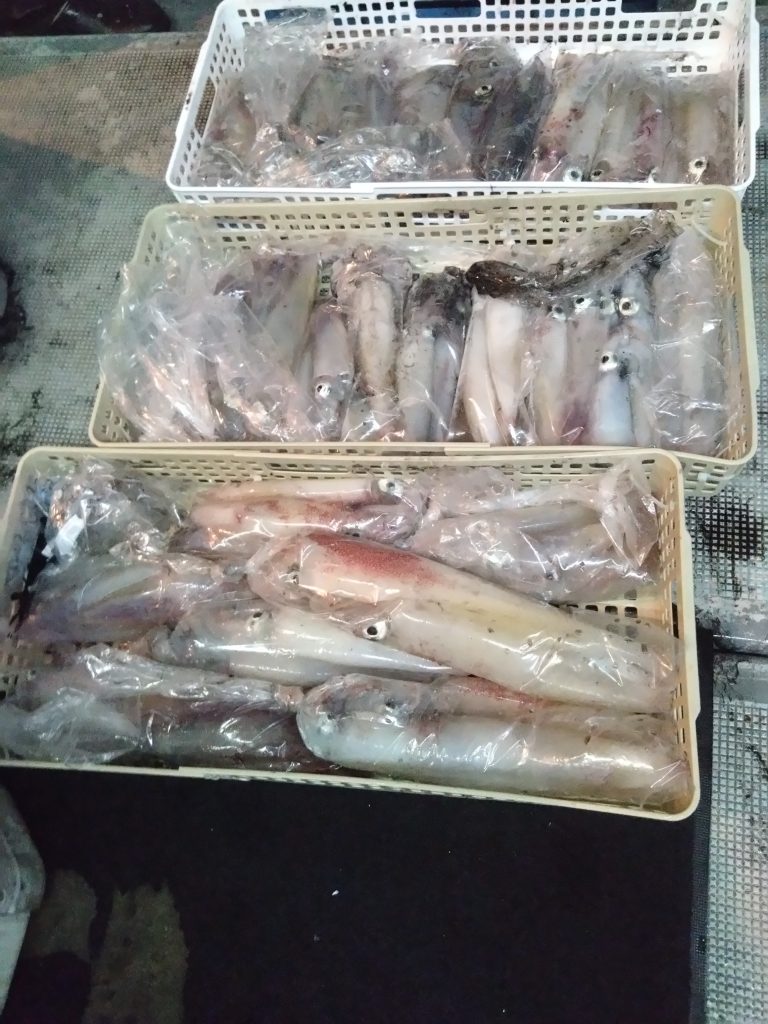 ここ数日間、絶好調ですよ～